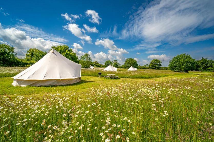 Red Clover At Blanca'S Bell Tents Villa Ringstead  Ngoại thất bức ảnh