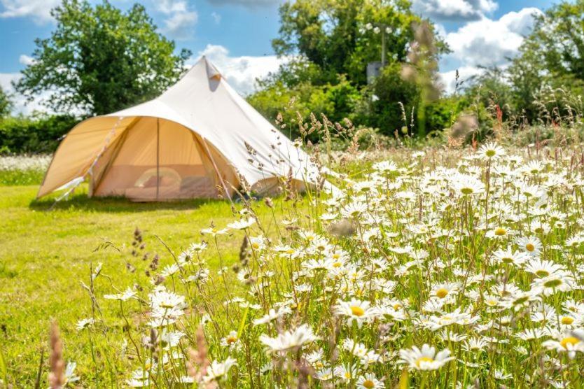 Red Clover At Blanca'S Bell Tents Villa Ringstead  Ngoại thất bức ảnh