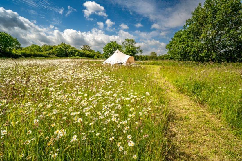 Red Clover At Blanca'S Bell Tents Villa Ringstead  Ngoại thất bức ảnh