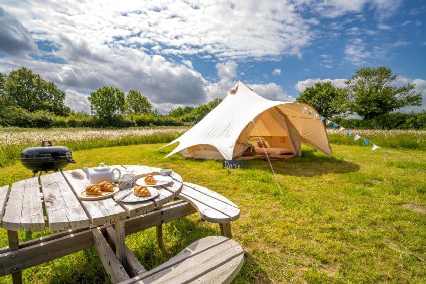 Red Clover At Blanca'S Bell Tents Villa Ringstead  Ngoại thất bức ảnh